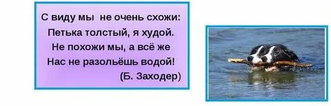 Пословица дружбу водой не разольешь