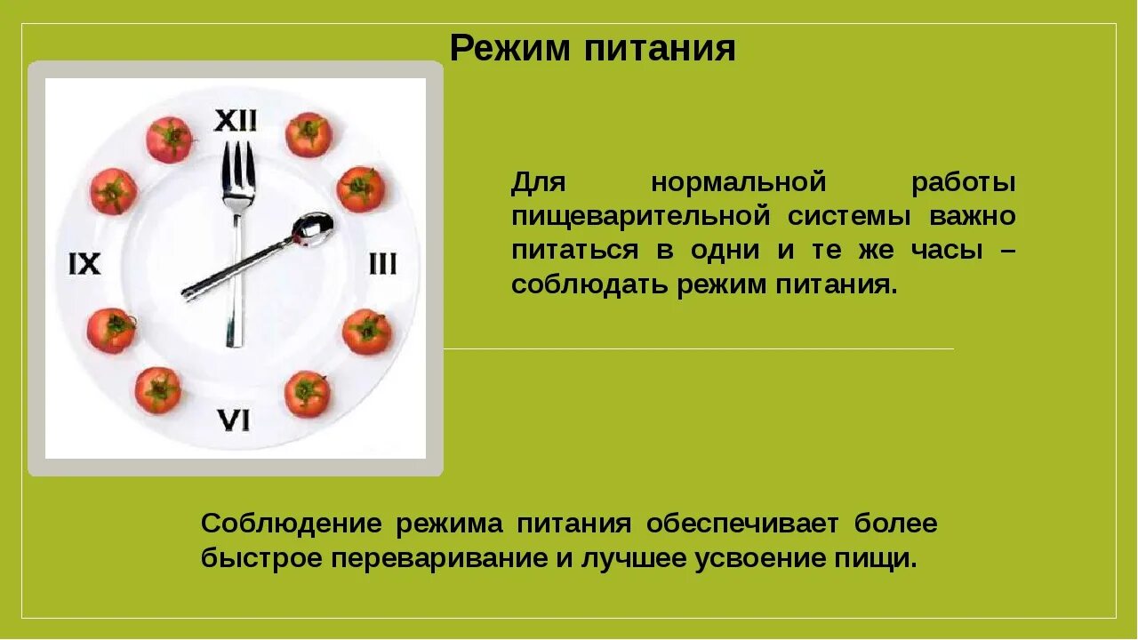 Режим питания. Соблюдение режима питания. Режим питания презентация. Распорядок питания. Правила распорядка питания