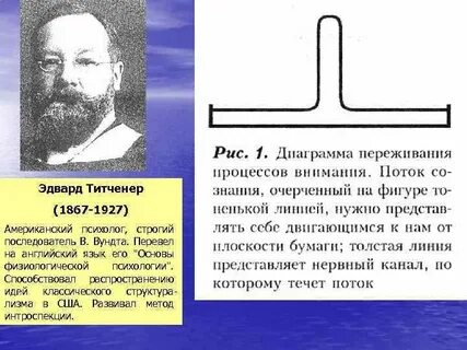 В вундт установил что объем внимания составляют