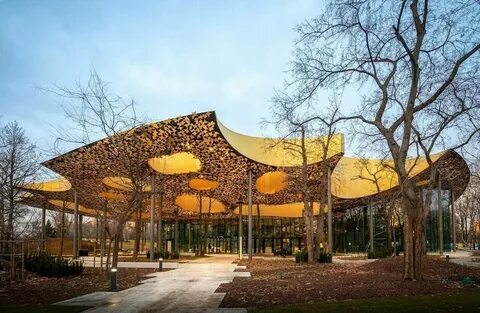 Mushroom building