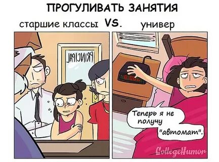 Отличия школа и институт