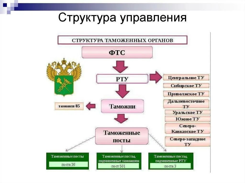 Схему управления (организационную структуру) таможенных органов РФ. Система ФТС РФ структура. Организационная структура ФТС России схема. Структура управления таможни России. Организация таможенного управления