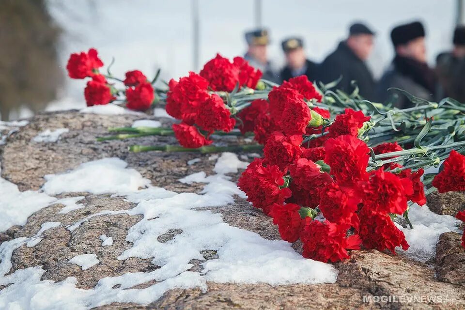 Гвоздики возложение воинам интернационалистам. Возложение цветов к памятнику воинов интернационалистов. Воины интернационалисты. Возложенные цветы. Гвоздики возложение