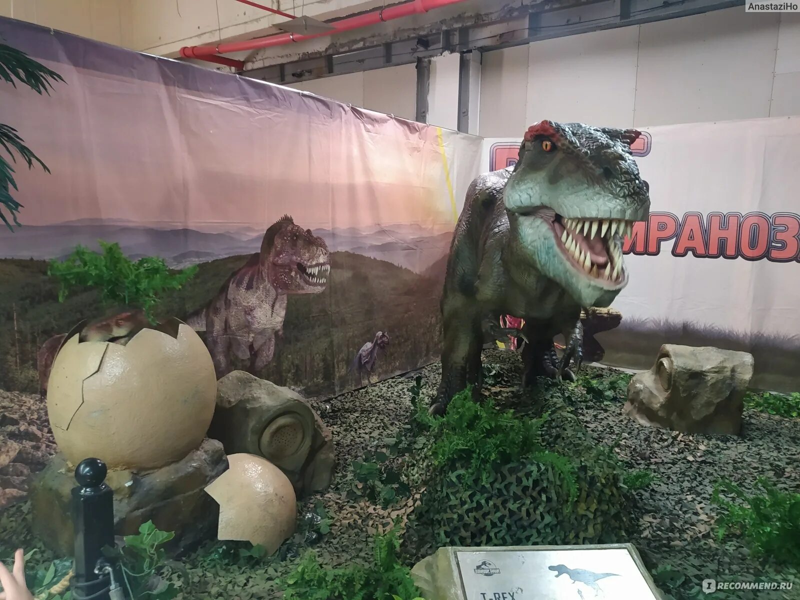 Разные динозавры. Выставка динозавров в Сургуте. Выставка динозавров Череповец. Выставка динозавров Липецк. Выставка динозавров ульяновск