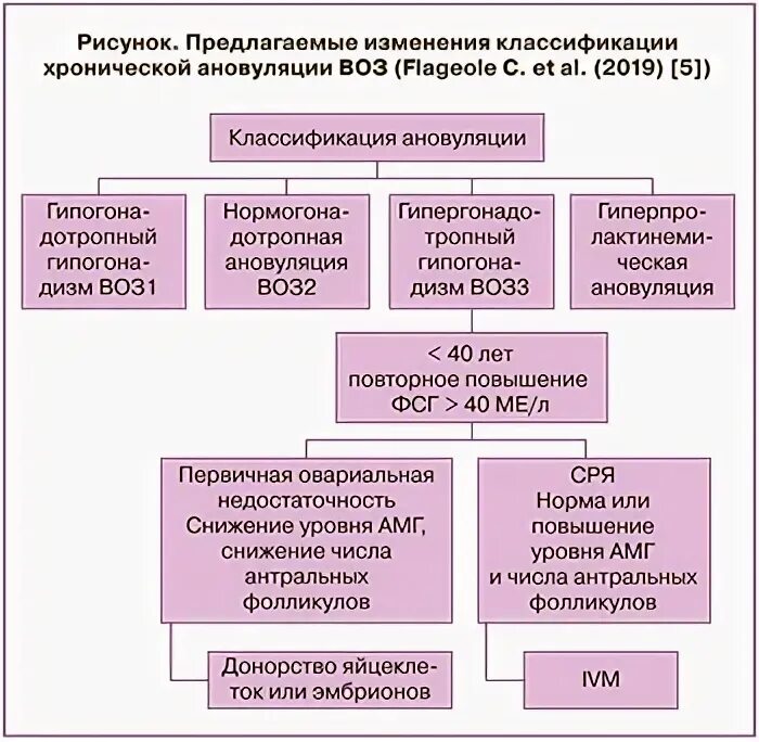 Синдром резистентных яичников. Синдром резистентных яичников