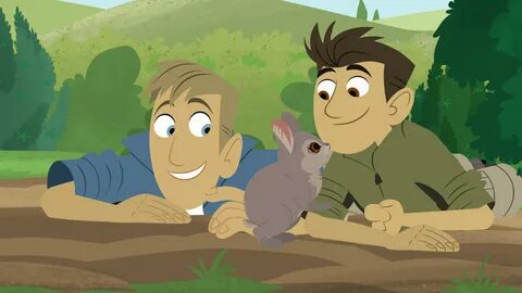 Wild Kratts (Bilingual) S6 What's On Now TV.