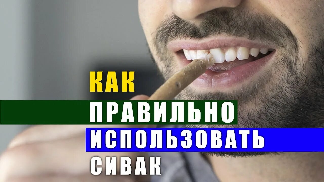 Сивак. Как правильно пользоваться сиваком для зубов. Сивак польза. Сивак сунна.