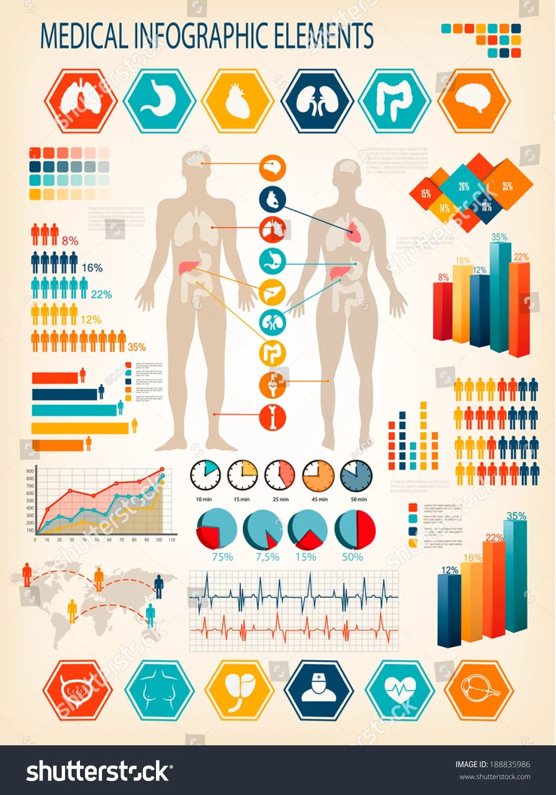 Организм человека состоит из. Содержание химических элементов в организме человека. Из чего состоит организм человека. Макроэлементов в организме человека. Элементы людей.