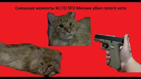 По не го но но