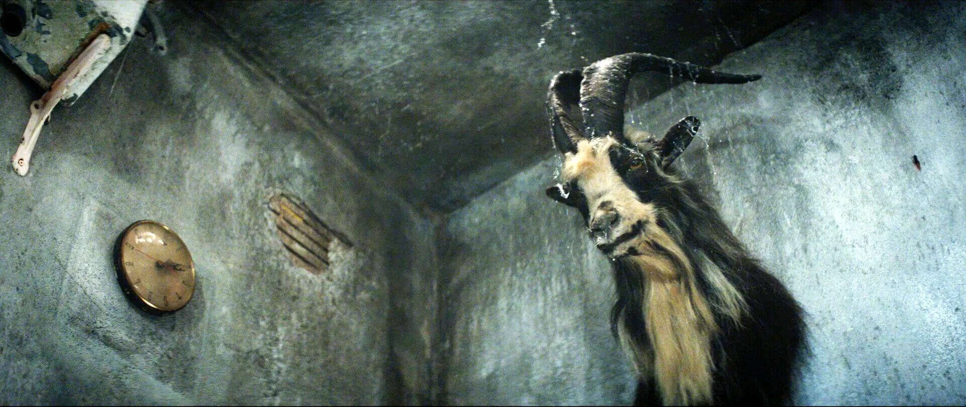 после загадочного. после загадочного. Shepherd 2021. после загадочного. после загадочного.