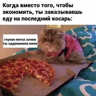 Почему это глупо
