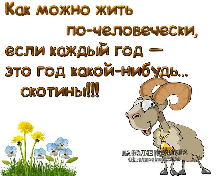 Какой нибудь пост. Картинки как жить если каждый год какой нибудь скотины. как можно жить почеловеческт. жить по человечески. картинки как можно жить по человечески.