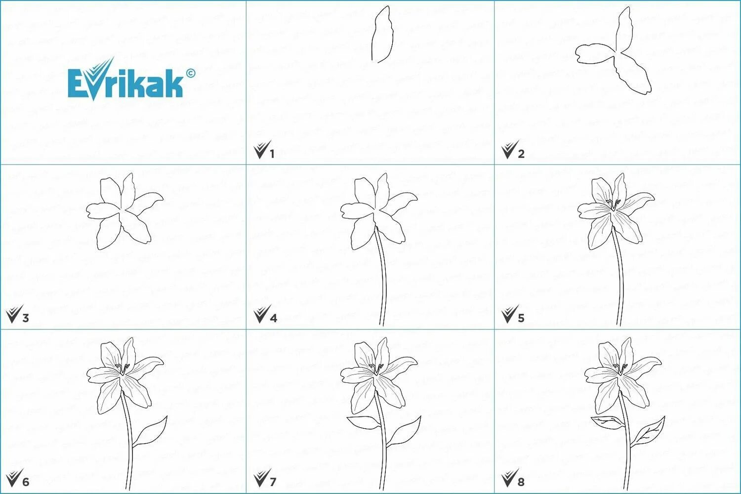 лилия поэтапное рисование. поэтапное рисование цветов. уроки рисования цветов карандашом. лилия поэтапное рисование. рисование цветов для начинающих.
