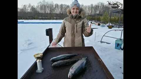 Где можно половить форель