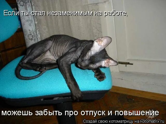 станет незаменимым и для. незаменимые люди в моей жизни. станет незаменимым и для. незаменимый работник. незаменимый работник.