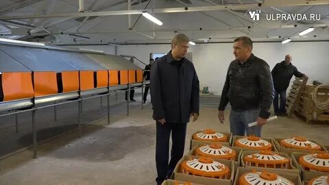 Ульяновская птицефабрика