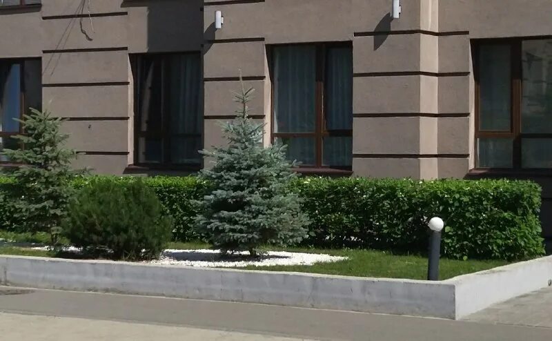 Ук сервис екатеринбург. Принцип застройщик логотип. Р сервис екб. Управляющая компания комфорт соликамск. Комфорт сервисная компания.