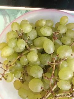 Виноград круглый без косточек
