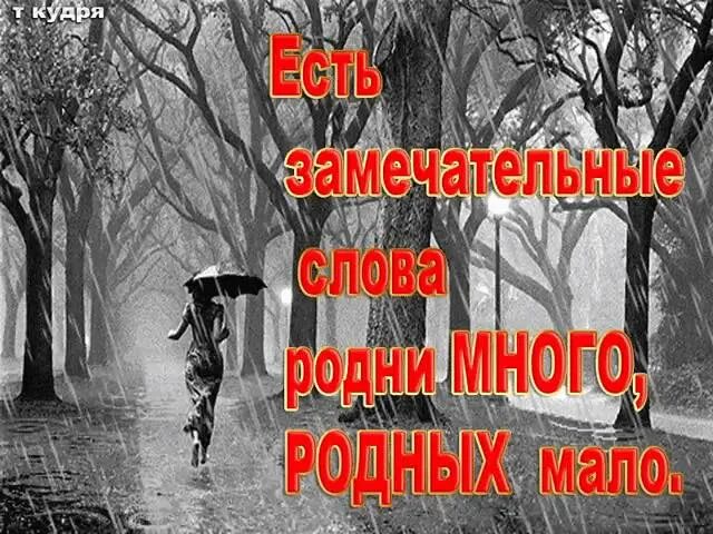 подни много п подных мало. есть замечательные слова родни много родных мало. родни много родных мало стихи. родной человек не родной. есть замечательные слова родни много родных мало.