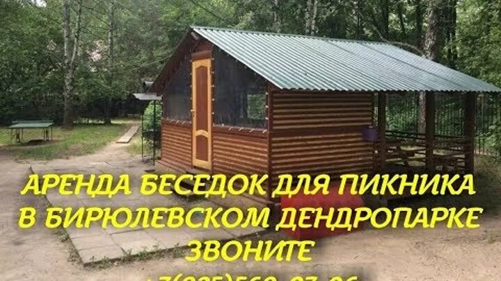 Шашлык бирюлево. Бирюлевский дендропарк беседки. беседки в дендропарке бирюлево. дендропарк в бирюлево беседки для шашлыка. бирюлевский дендропарк беседки для шашлыков.