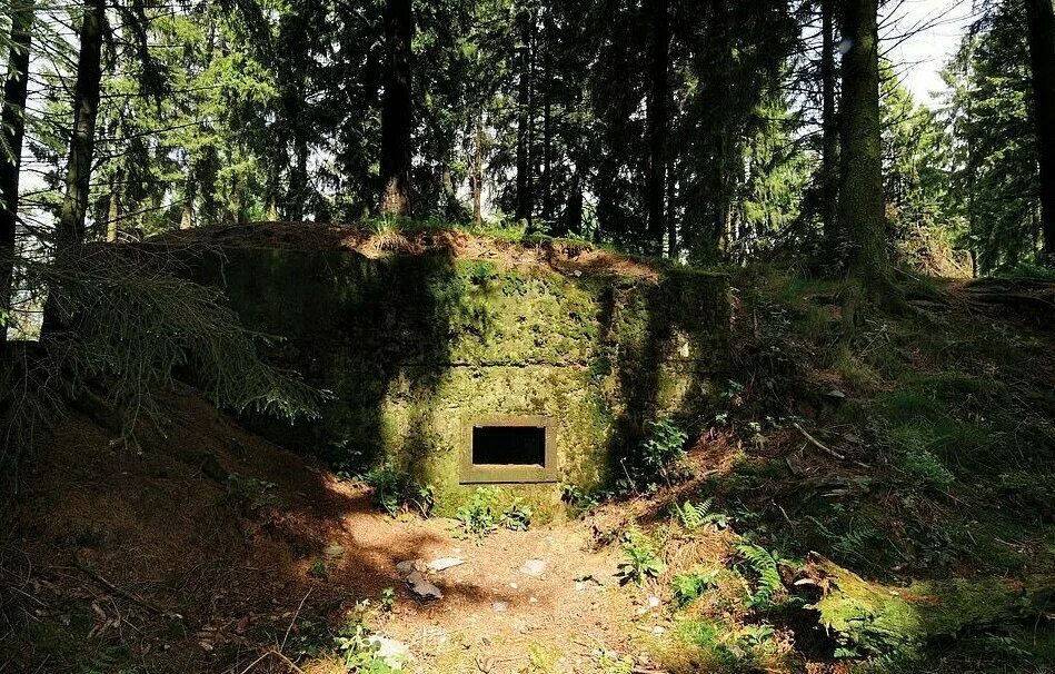 Forest bunker. Линия мажино в лесах грибы. Немецкие бункеры-штабы. Бункер из остаться в живых. Forest bunker.