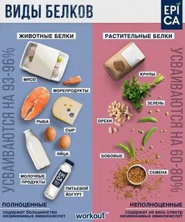 В каких продуктах есть много белка