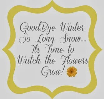 Saying of the day