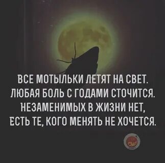 Песня мотыльки летят на свет