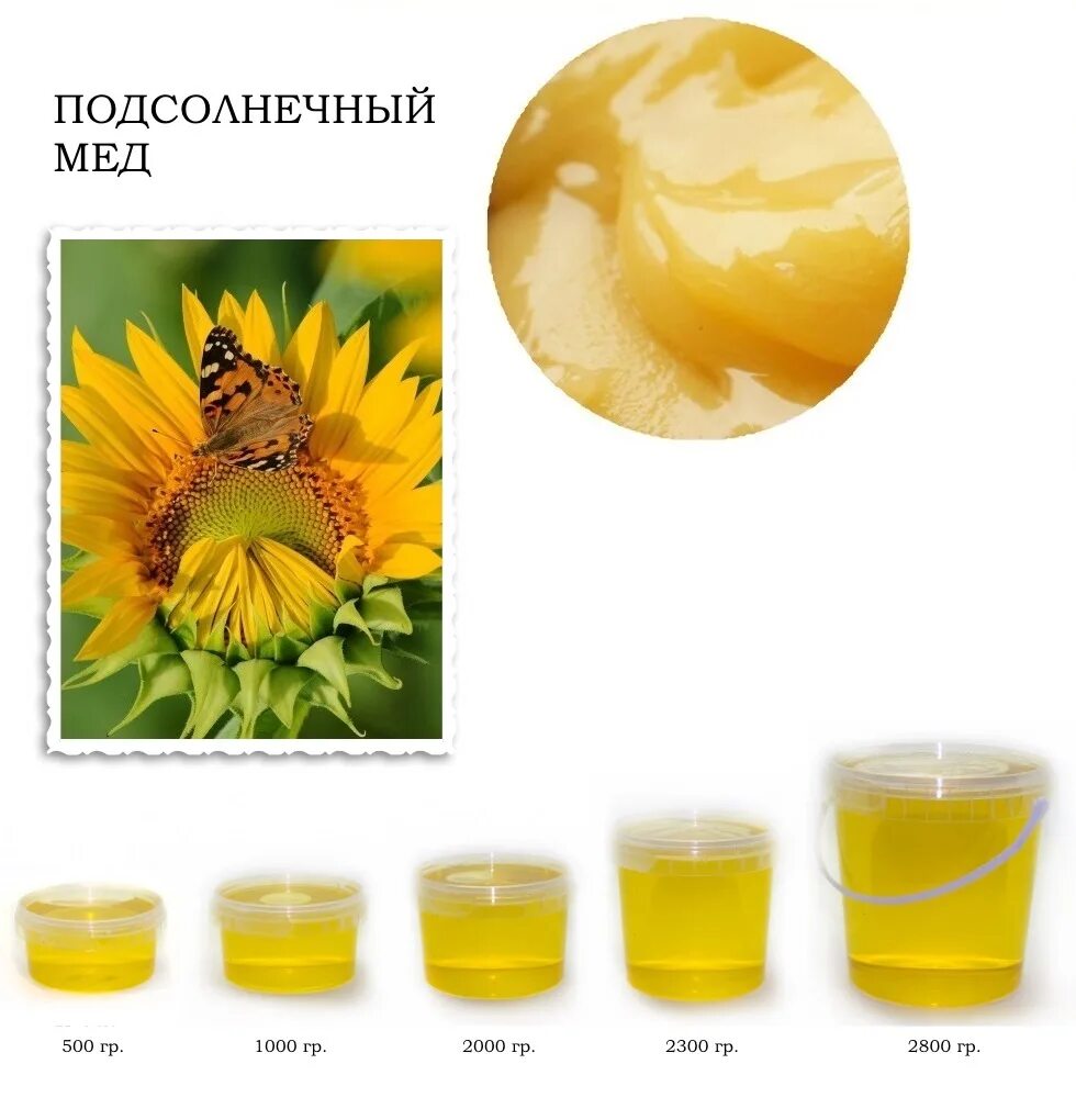 Мед подсолнечника, 1 кг купить в Москве и Санкт-Петербурге с доставкой