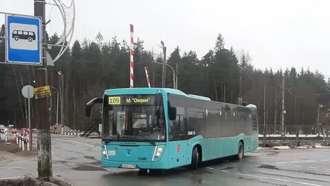 Маршрут 259 санкт петербург