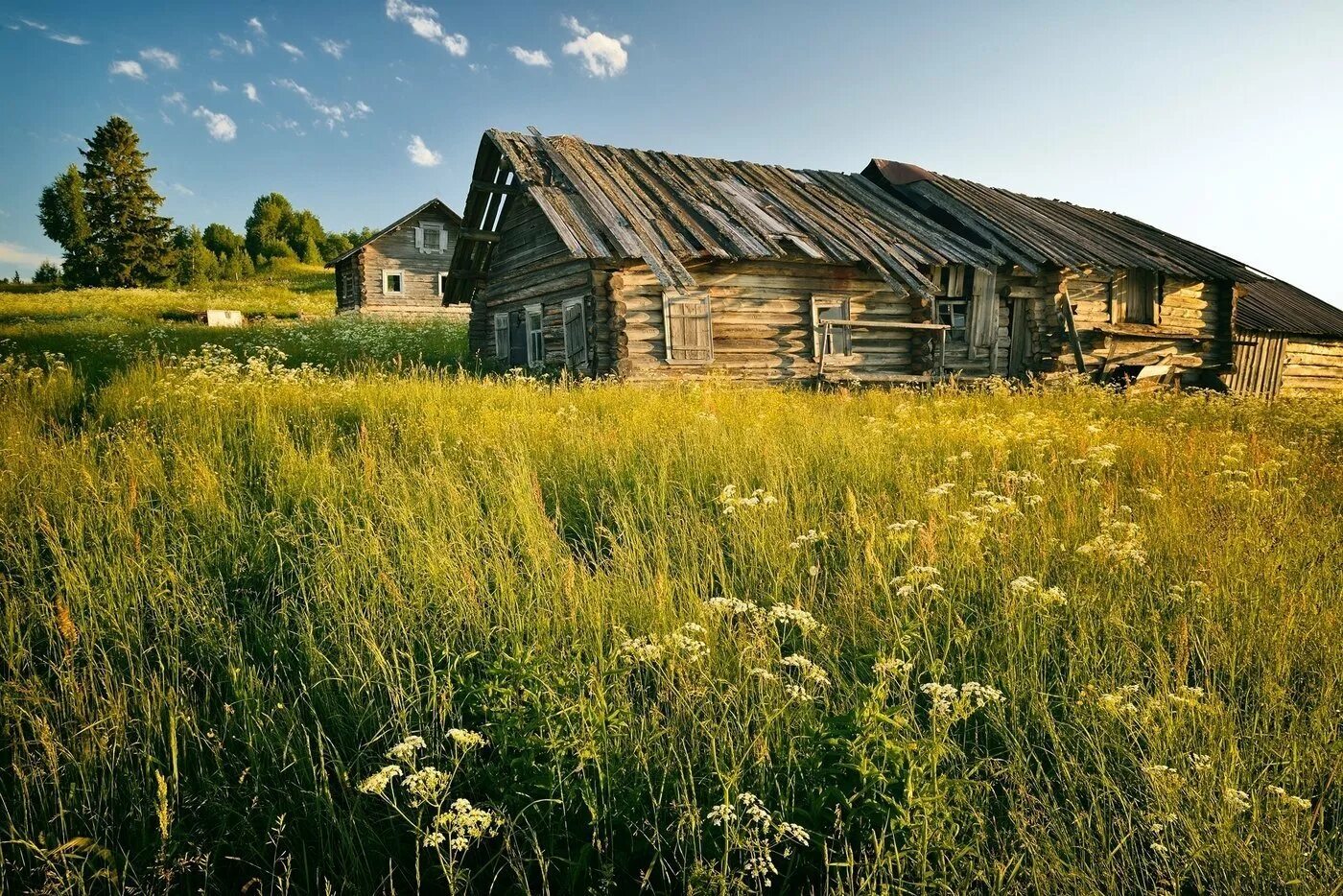 Фото деревни. Поселок русская деревня. Деревня природа село долгое Смоленская. Деревенский пейзаж. Лето в деревне.