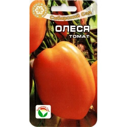 Помидоры олеся фото