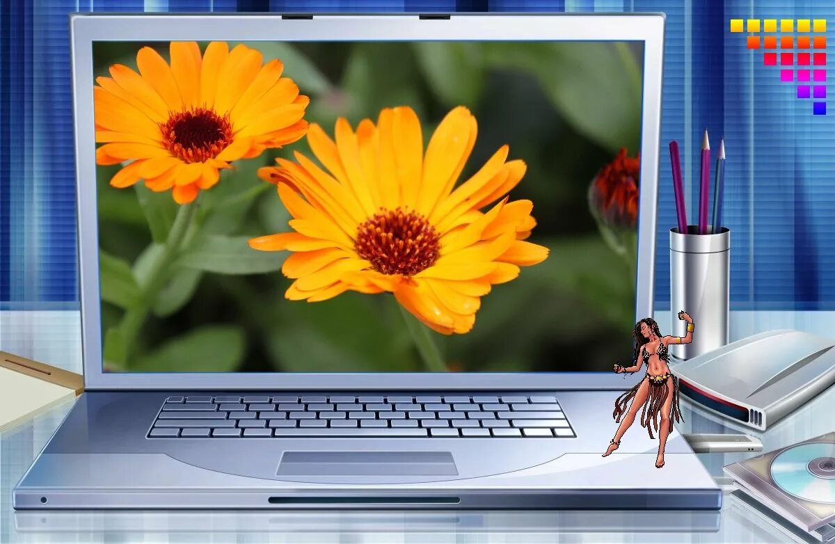 Ноутбук день. Ноутбук intel core i7-8750h асус. Доброе утро друзья. Ноутбук день. Ноутбук б/у фон.