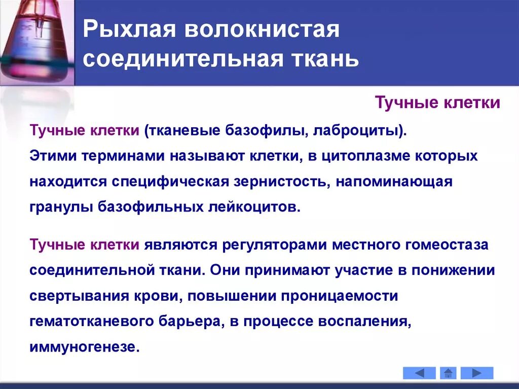 Специфическая ткань. Специфическая ткань. Ткани человека. Ткани человека презентация. Соединительная ткань.