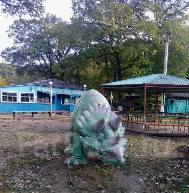 Наши гости 3 лагерь. Лагерь наши гости 3 приморский край. лагерь наши гости 3 партизанск. лагерь костер партизанск. лагерь в лозовом приморский край.