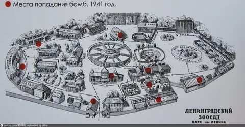 Ленинградский план