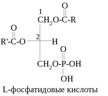 Верная кислота