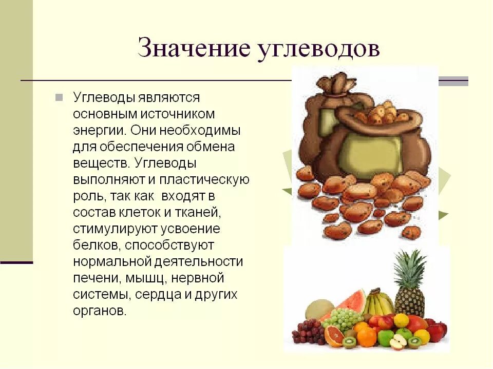 Выполняет кроветворную функцию запасает жиры