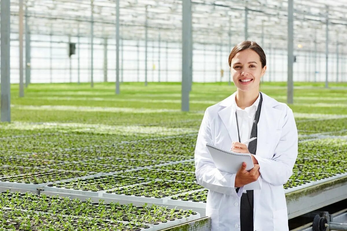 Работа управляющий хозяйством. Структура энергетического хозяйства предприятия. Организационная структура колхоза схема. Труд в сельском хозяйстве. Работа управляющий хозяйством.