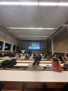 Перспективы выпускников университетов Голландии.