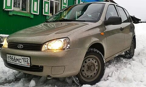 Цвет серый калина