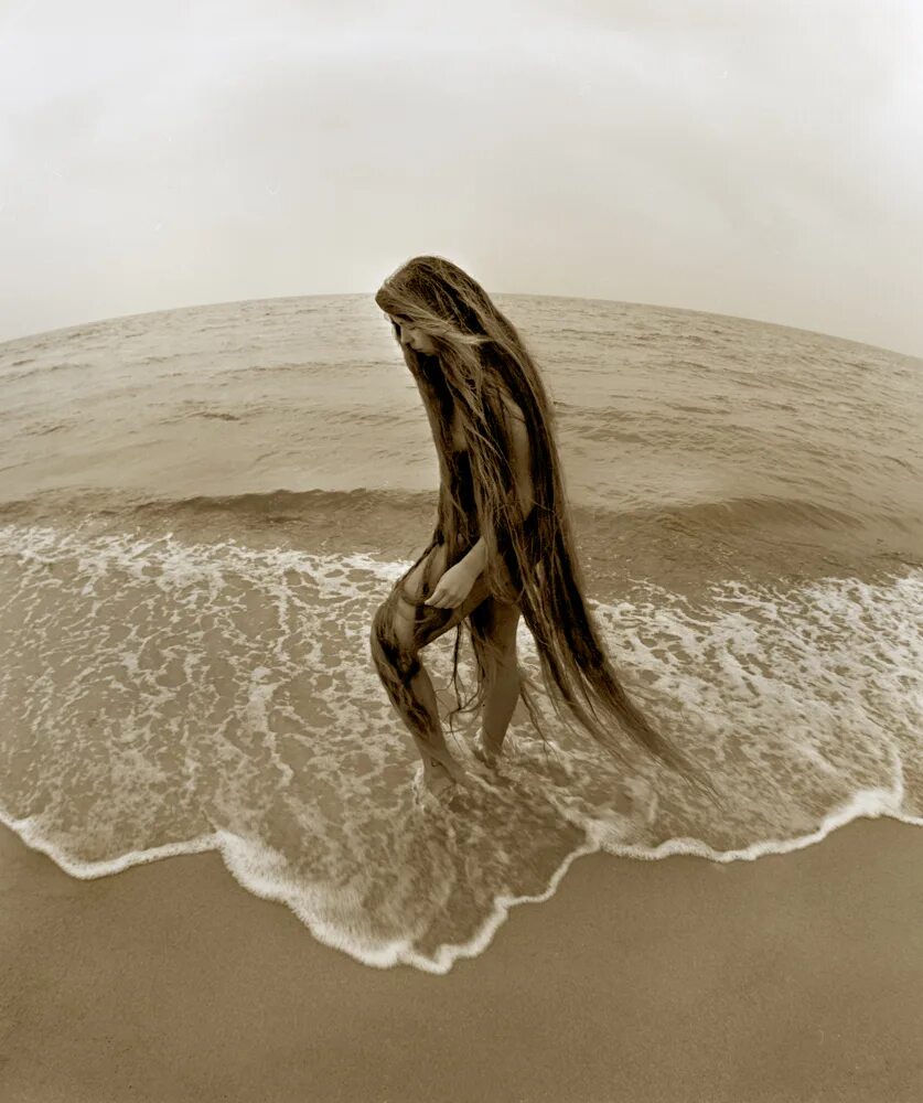 Дихавичюс римантас дихавичюс. Римантас дихавичюс цветы среди цветов. Полдень фото римантас дихавичюс. Литовский фотограф римантас дихавичюс. Полдень фото римантас дихавичюс.