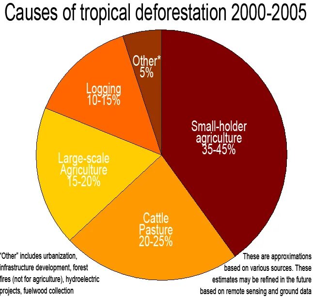 Deforestation causes and effects. Effects of deforestation. What is deforestation. Climate change deforestation. Causes for deforestation logging.