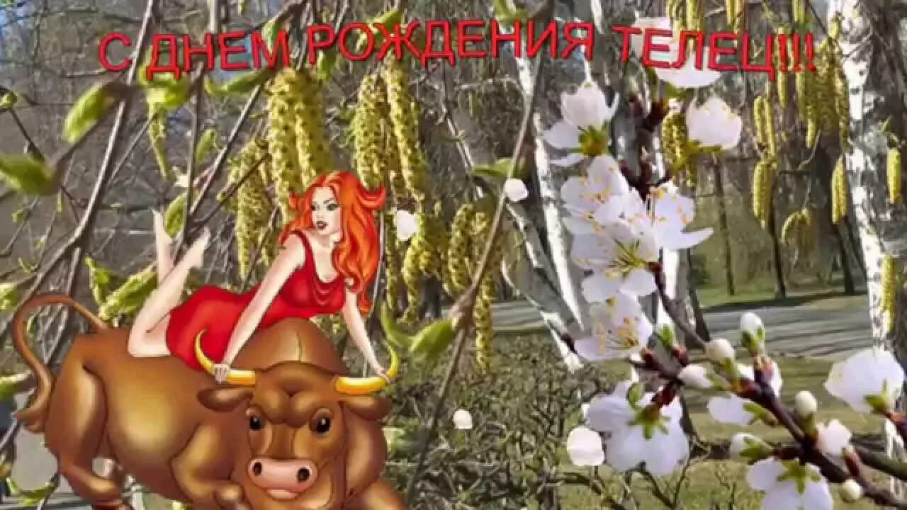 Поздравление с днем рождения тельцам. С днем рождения телец. открытка с днем рождения телец. поздравление с днем рождения тельцов. с днем рождения телец девушка.