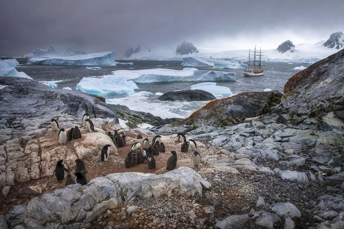 Какая красивая страна. Остров Зыкова Антарктида. Побережье Антарктиды. Берег Антарктиды. Ландшафт Антарктиды.