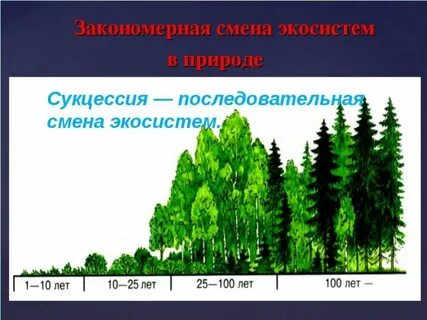 Смена природных сообществ уровень организации