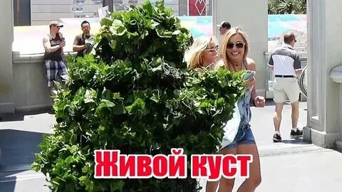 Приколы пугающие кусты