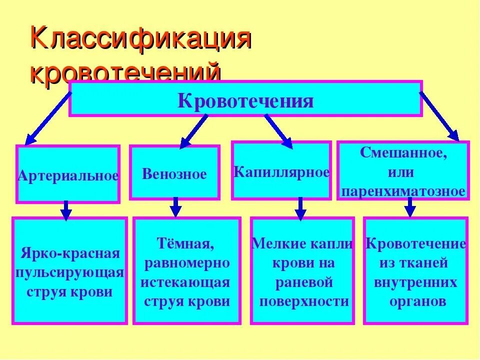 2. Классификация кровотечений. Классификация кровотечений схема. Классификация кровотечений ОБЖ. Анатомическая классификация кровотечений.