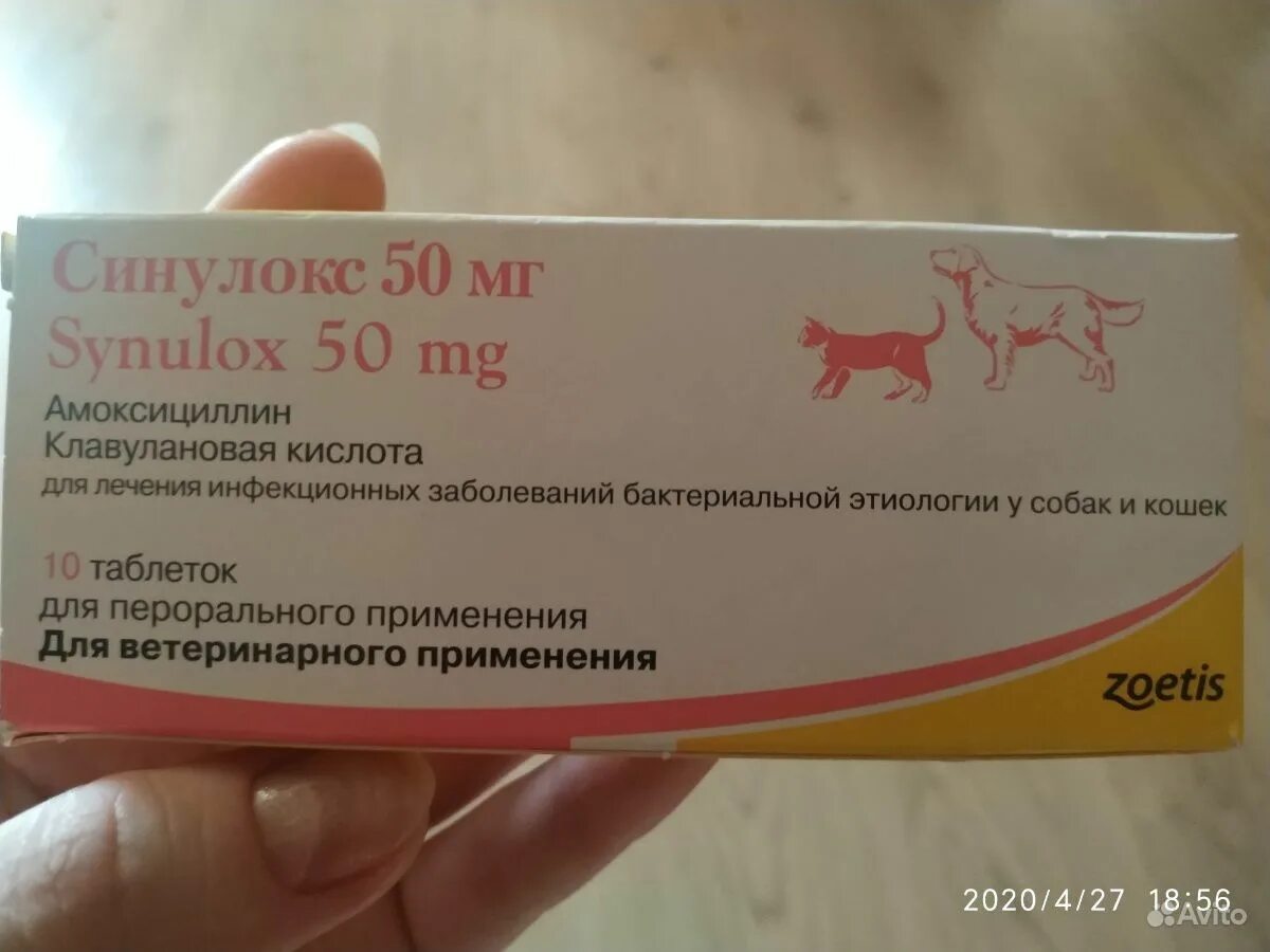 Синулокс для кошек для чего. Синулокс для кошек для чего