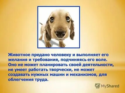 Как звали верного слугу